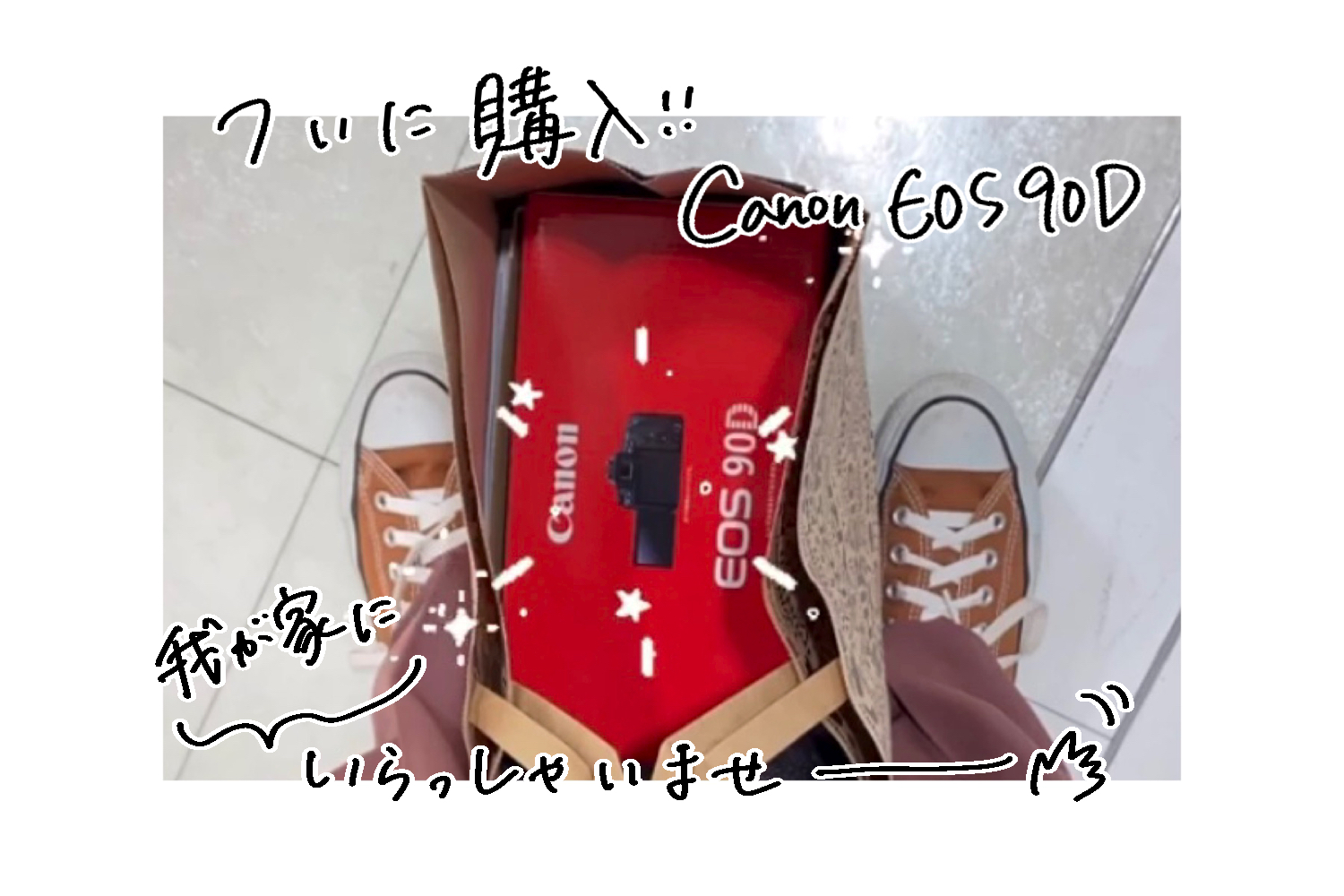 初ボーナスで一眼レフを買って半年が過ぎました 社員ブログ パッケージデザイン会社 株式会社t3デザイン 東京都渋谷