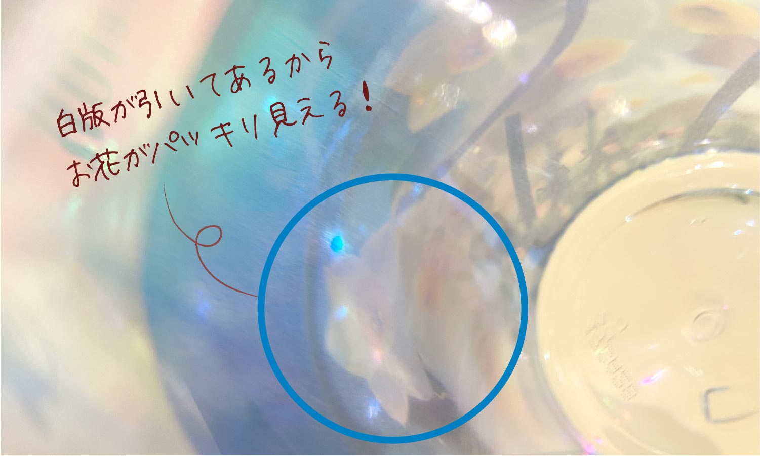 白版が引いてあるからお花がパッキリ見える!