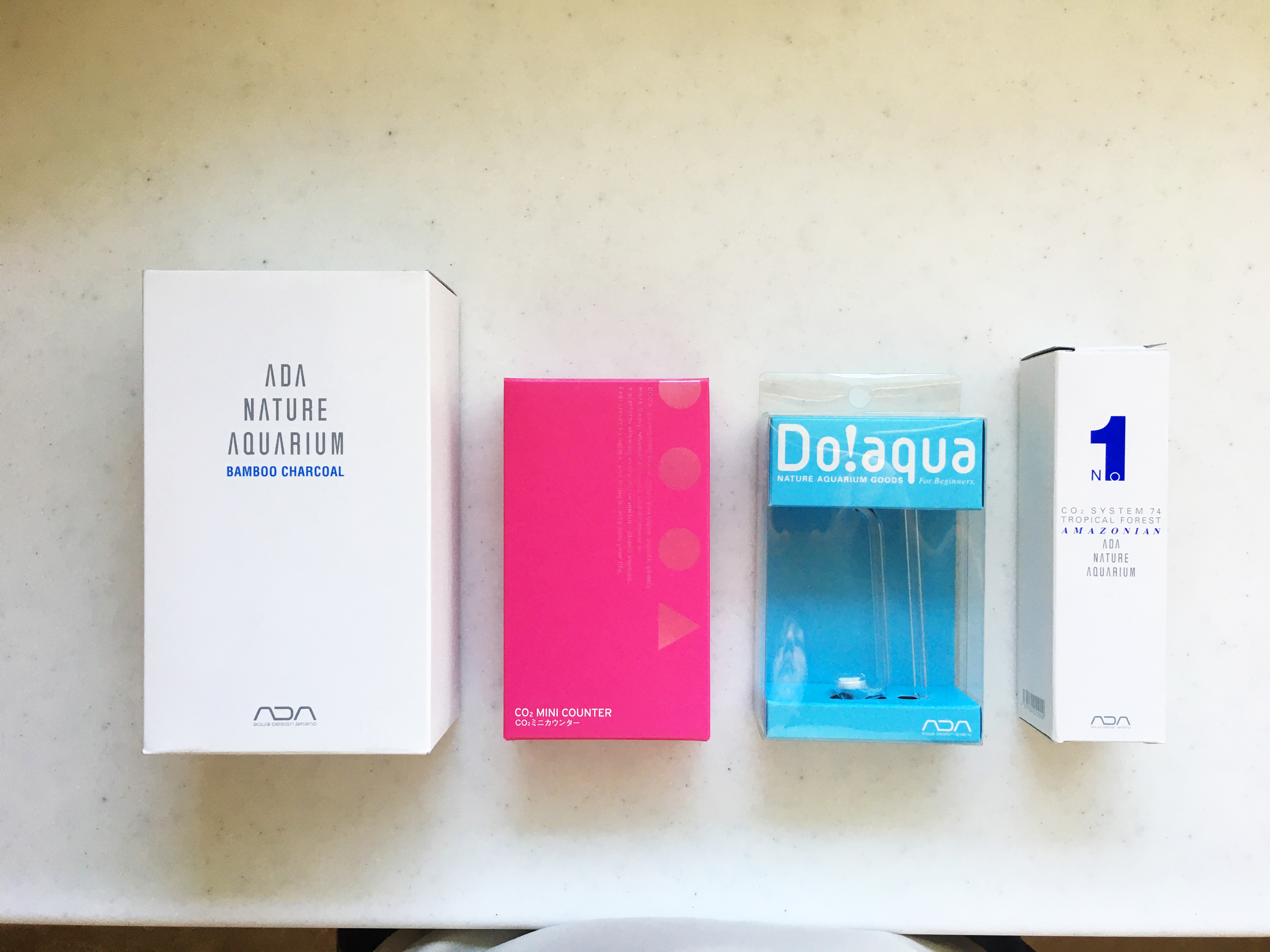 多趣味なデザイナーのアクアリウムでアクアライフ 社員ブログ パッケージデザイン会社 株式会社t3デザイン 東京都渋谷